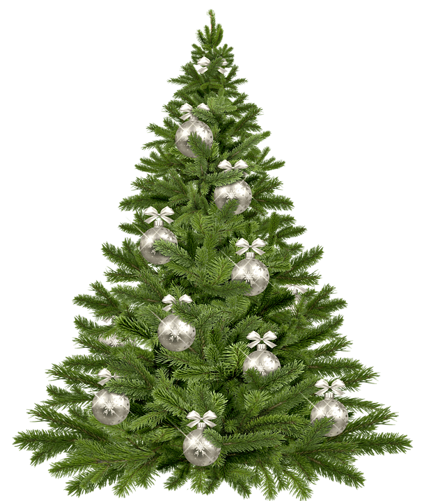 Celebrate this Christmas Safely